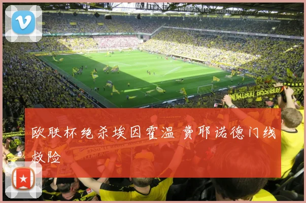 欧联杯绝杀埃因霍温 费耶诺德门线救险