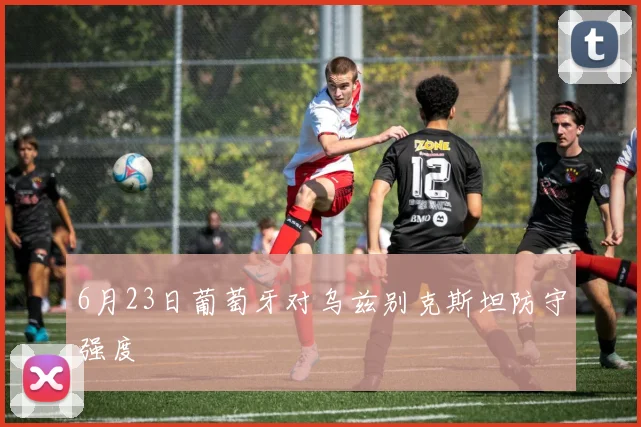 6月23日葡萄牙对乌兹别克斯坦防守强度