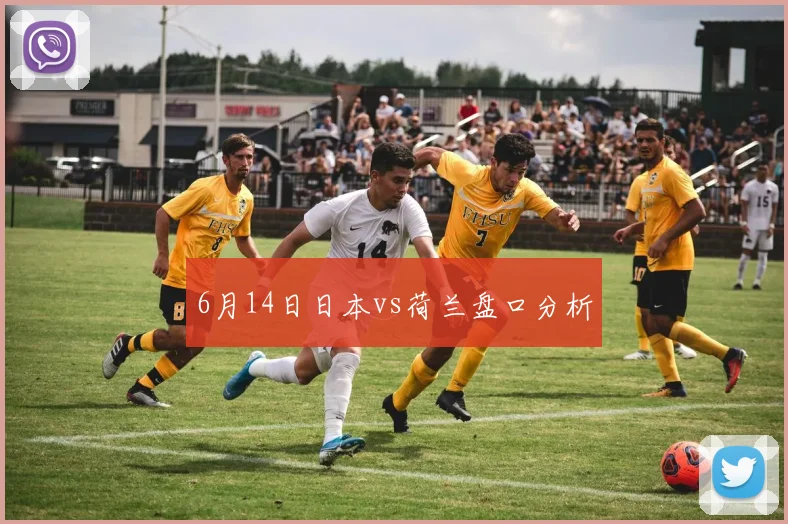 6月14日日本vs荷兰盘口分析