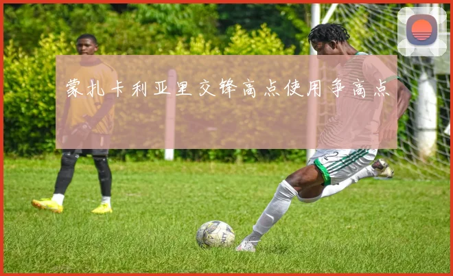 蒙扎卡利亚里交锋高点使用争高点