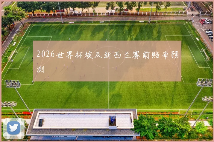 2026世界杯埃及新西兰赛前赔率预测