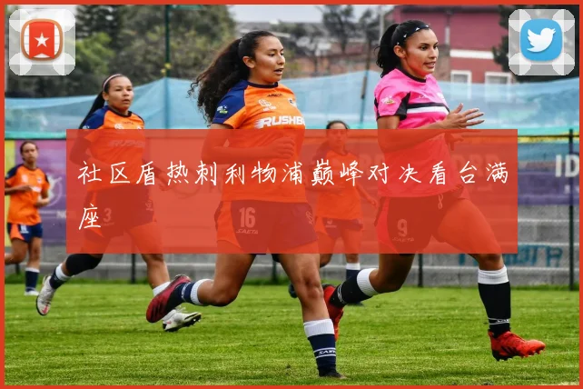 社区盾热刺利物浦巅峰对决看台满座