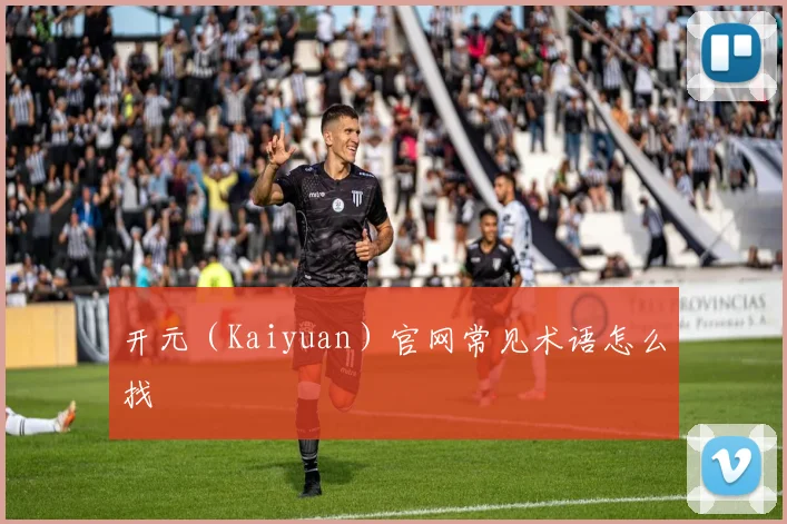 开元（Kaiyuan）官网常见术语怎么找